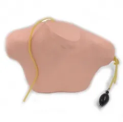 IN-N02 Medical Science Ultrasound Guided Central Venipuncture Model For Teaching Jugular Vein Subclavian Vein Puncture Model