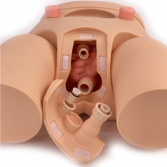 IN-N01 Medical Simulation Urinary Catheter Training Model Male Female Urethral Catheterization Simulator