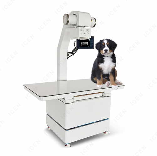 IN-V32KW Xray Manufacturer Veterinary X Ray Diagnosis Machine 20kw Vet Digital X-ray Machine With Dr Panel Touch Screen