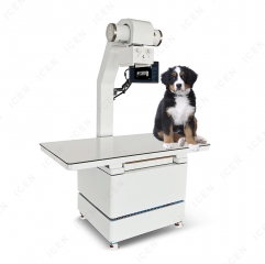 IN-V32KW Animal X-ray Imaging Solutions Veterinary Xray For Dogs And Cats