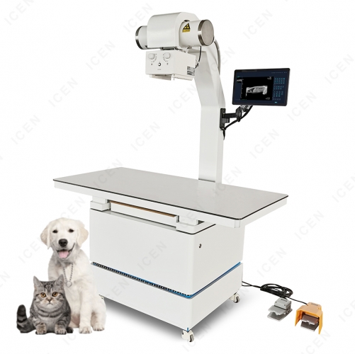 IN-V32KW Animal X-ray Imaging Solutions Veterinary Xray For Dogs And Cats