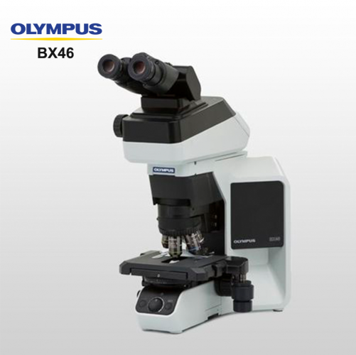 BX46 Bright Field Dark Field Phase Contrast Fluorescence Polarized Light Biological Microscope For Veterinary Clinic