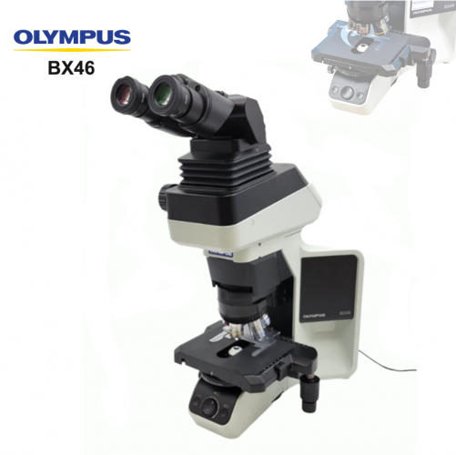 BX46 Microscope Digital Biological Microscopes For Laboratory Hospital Clinic