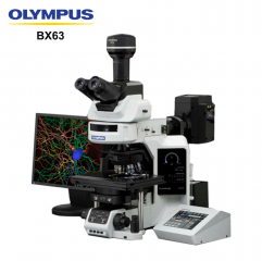 BX63 Auto Laboratory Inverted Fluorescence Microscope