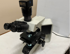 BX53 Hot Sale Infinity Optical System Multi-purpose Binocular Semi-Motorized Fluorescence Microscope