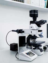 BX63 Auto (led) Professional Fluorescence Microscope For Live Cell Imaging And Immunofluorescence