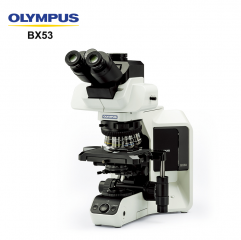 BX53 High Quality Stereo Semi-Motorized Fluorescence Microscope Optical Microscope System