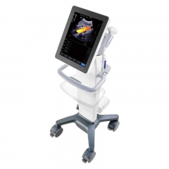 Mindray TE7S Full Digital Color Doppler Blood Flow Imaging System Usg Pc 4d Ultrasound