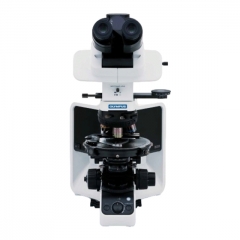 BX53 Semi-Motorized Fluorescence Microscope With Infinity Optical System