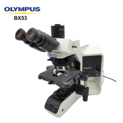 BX53 Semi-Motorized Fluorescence Microscope With Infinity Optical System