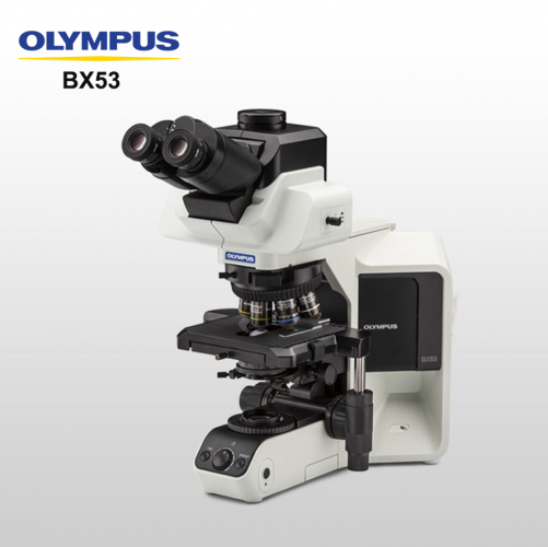 BX53 High Quality Stereo Semi-Motorized Fluorescence Microscope Optical Microscope System