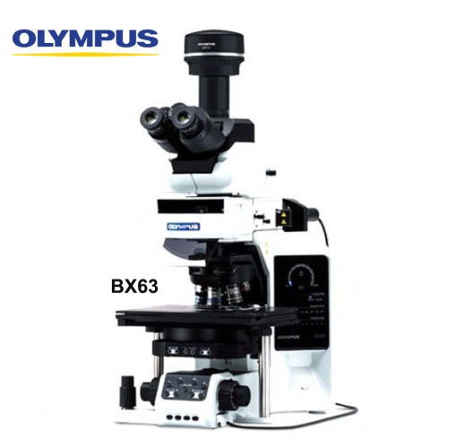 BX63 Auto Led Fluorescence Microscope