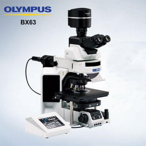 BX63 Auto Laboratory Inverted Fluorescence Microscope