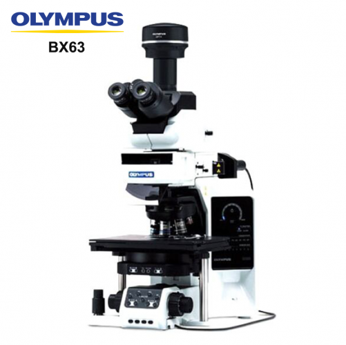 BX63 Auto Fluorescence Microscope Inverted Trinocular Fluorscence Biological Microscope