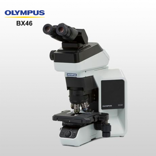 BX46 Original Digital Trinocular Stereo Microscope For Laboratory Hospital Clinic