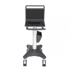 Sonoscape E2 Big Screen Portable 2d Color Doppler Msk Ob/gyn Ultrasound Scanner For Sale