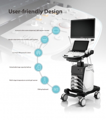 Sonoscape P12 3d Medical Ultrasound Machine Ecografos Trolley Color Doppler Ultrasound Machine Ultrasound System