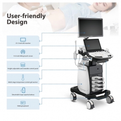 Sonoscape P11 Cheap Trolley Color Doppler Ultrasound Machine With Good Quality