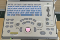 Mindray Vet Ultrasound Mindray DP50 Veterinary Ultrasound Portable Color Doppler Mindray Ultrasound Dp50 Vet Machine