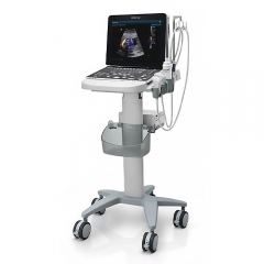 Mindray Z50 Mindray Veterinary Instrument Portable Z50 Vet Color Doppler Ultrasound Diagnostic System With15 High Resolution Monitor