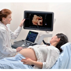 Mindray Nuewa R9 Hot Sell Multiple Probes Ultrasound Scanner Portable Color Doppler Portable Ultrasound Device