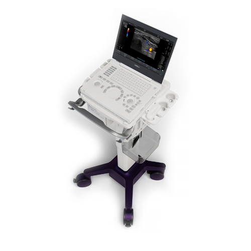 GE Logiq E second hand Refurbished Medical Full Digital Color Doppler 3d 4d Portable Ultrasound Machine For Humans