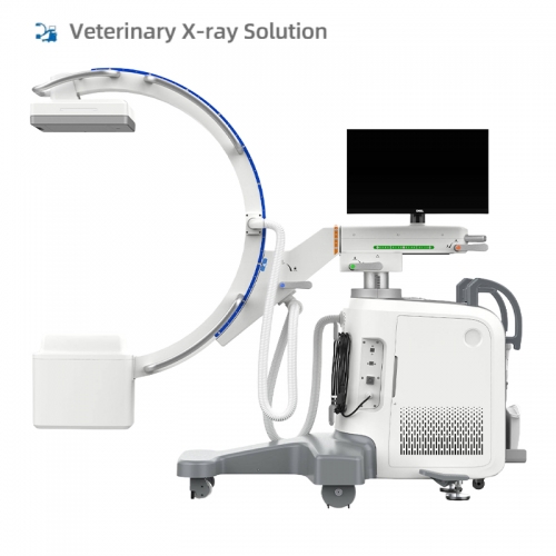 IN-D1 Xray Radiography Mdical Mobile Xray Fluoroscopy Digital C-arm X-ray Price C Arm X Ray Machine