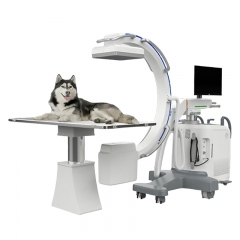 IN-D1 Xray Radiography Mdical Mobile Xray Fluoroscopy Digital C-arm X-ray Price C Arm X Ray Machine