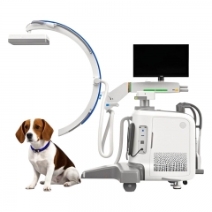 IN-D1 Xray Radiography Mdical Mobile Xray Fluoroscopy Digital C-arm X-ray Price C Arm X Ray Machine