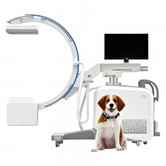 IN-D1 Xray Radiography Mdical Mobile Xray Fluoroscopy Digital C-arm X-ray Price C Arm X Ray Machine