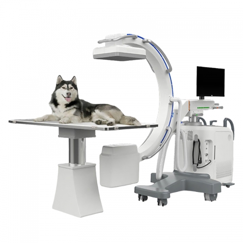 IN-D1 Mobile Florouscopy Digital C-arm X-ray C Arm For Xray Machine