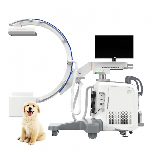 IN-D1 Xray Radiography Medical Mobile Xray Fluoroscopy Digital C-arm X-ray Price C Arm X Ray Machine
