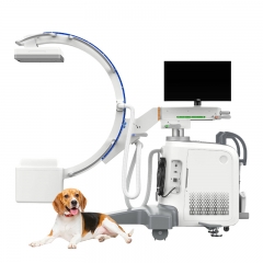 IN-D1 Mobile Florouscopy Digital C-arm X-ray C Arm For Xray Machine