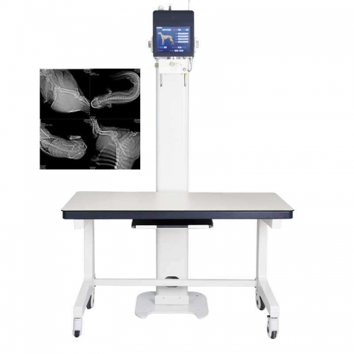 IN-5B Digital Dynamic Double Screen Veterinary Ray X Pet X Ray Machine Dr With Vet Bed