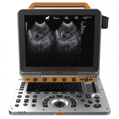 IN-P60VET Portable Veterinary Diagnostic Color Doppler Cardiac Ultrasound Equipment