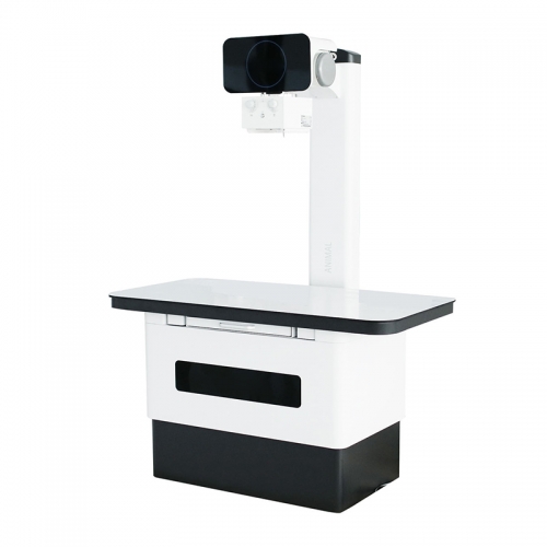 IN-32A/32B Dynamic Image Animal X Ray Machine Dr Vet Xray Machine Price For Veterinary Pet Medical X-ray Machine