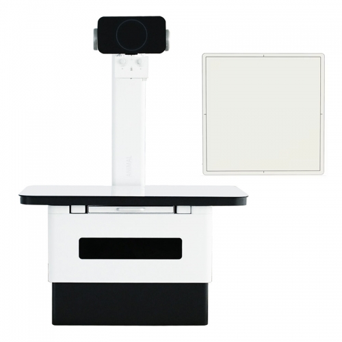 IN-32A/32B Vet Xray Digital Dr Veterinary X Ray Equipment Animal X Ray Machine