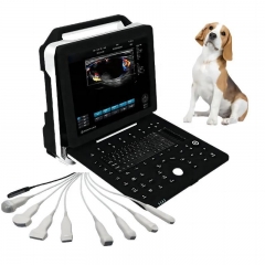 IN-P8VET Portable Veterinary B-ultrasound Diagnostic System For Vet Hospitals With Convex Probe And Electric Power Source