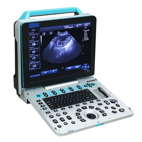 IN-P5VET Vet Portable Veterinary Ultrasonic Diagnostic Imaging Color Doppler System