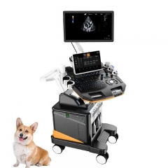 IN-T6VET Ultrasound Scanner Veterinary Digital Ultrasound Machine Companion Animal Color Doppler Ultrasound
