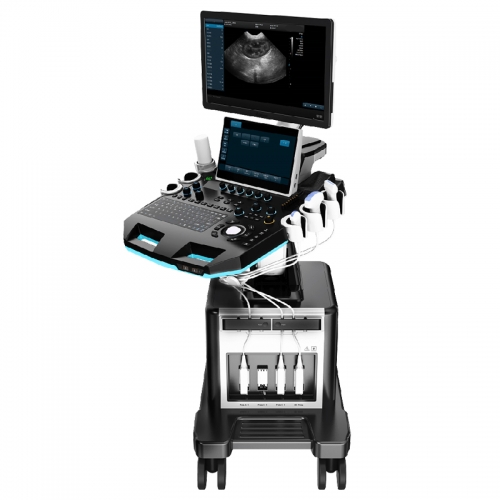 IN-T5VET Veterinary Ultrasound System Cart-based Veterinary Ultrasonic System For Horse Cat Dog Animals Use