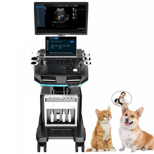IN-T5VET Color Doppler Ultrasound Machine Trolley Color Doppler Ultrasound Machine Price
