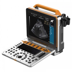 IN-P60VET Portable Color Doppler Ultrasound Machine For Animal Hospitals Veterinary Diagnostic Equipment