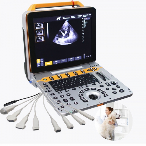 IN-P60VET Portable Color Doppler Ultrasound Machine For Animal Hospitals Veterinary Diagnostic Equipment