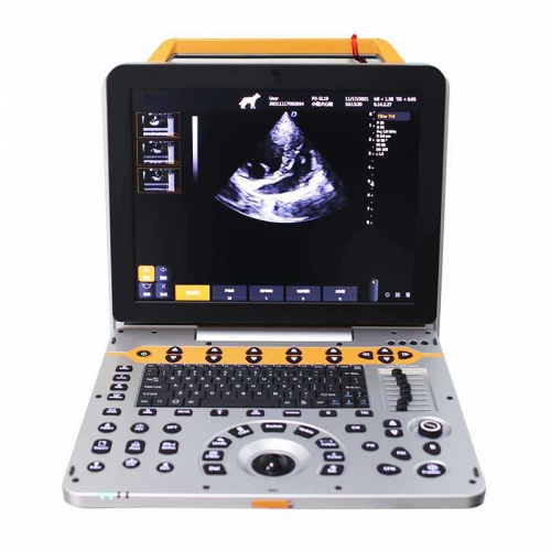 IN-P60VET Portable Veterinary Diagnostic Color Doppler Cardiac Ultrasound Equipment