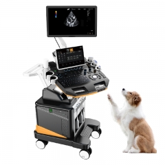 IN-T6VET High Resolution Portable Veterinary Color Doppler Ultrasound System With Lcd Display For Dog Diagnosis