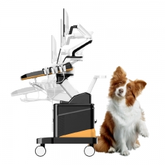 IN-T6VET High Resolution Portable Veterinary Color Doppler Ultrasound System With Lcd Display For Dog Diagnosis