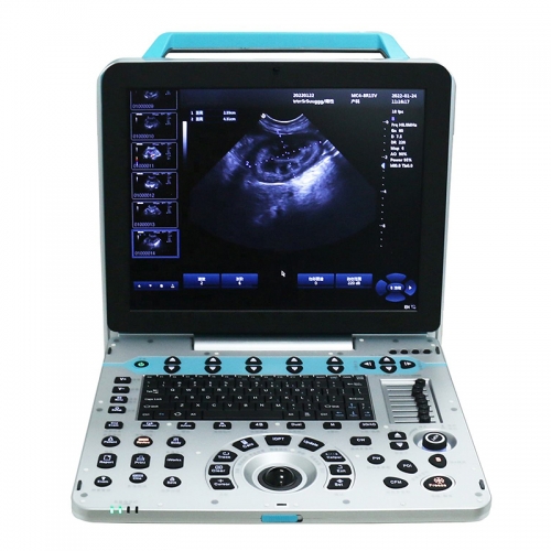 IN-P5VET Portable Laptop Color Doppler Ultrasound Scanner Machine For Veterinary