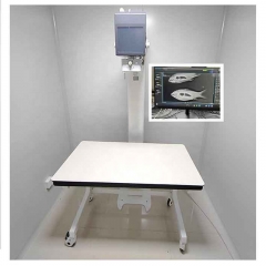 IN-5B Top Sell Dr X Ray Machine Dealer X Ray Machine Price X Ray Machine Vet System Unit