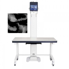 IN-5B Top Sell Dr X Ray Machine Dealer X Ray Machine Price X Ray Machine Vet System Unit
